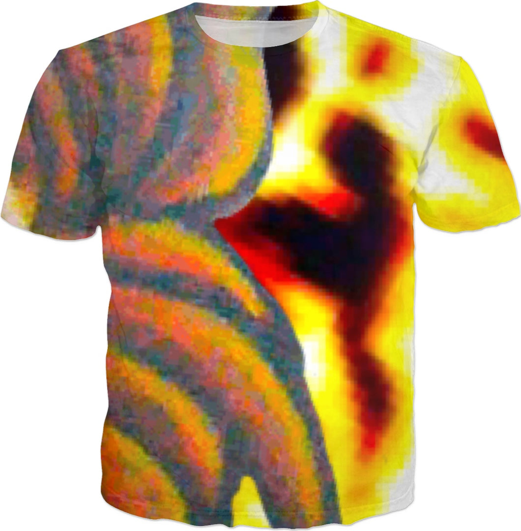 FireBoss - Gabriel