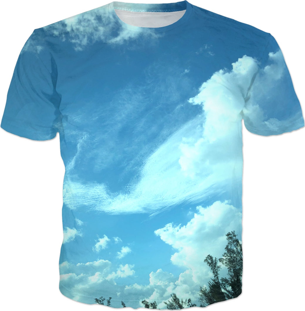 Blue Sky View - Gabriel